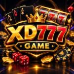 xd777 game