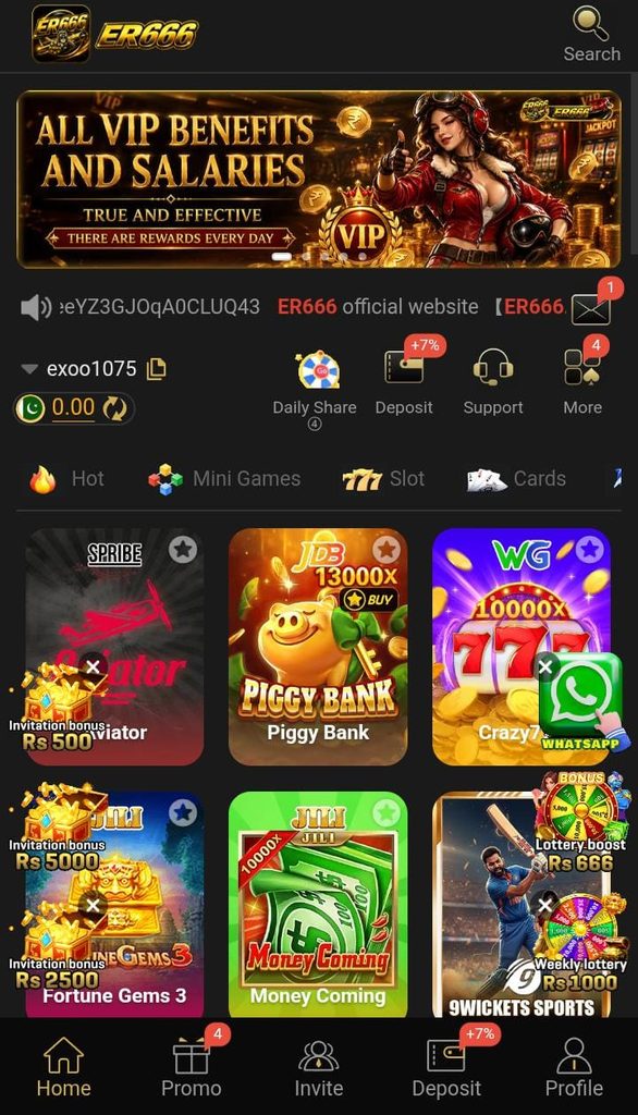 ER666 Game