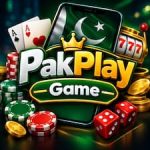 PakPlay Game