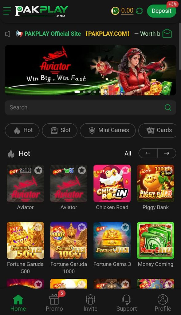 PakPlay Game