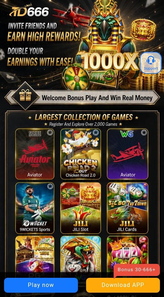 TD666 Game