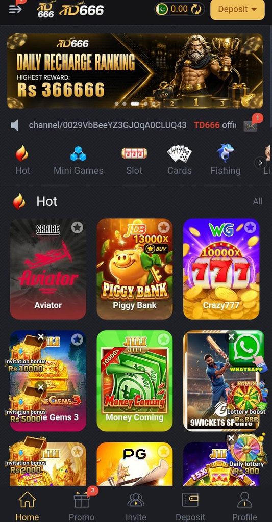 TD666 Game